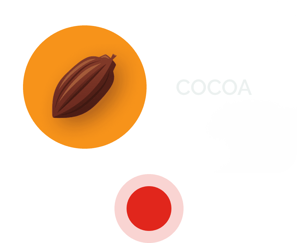 cocoa